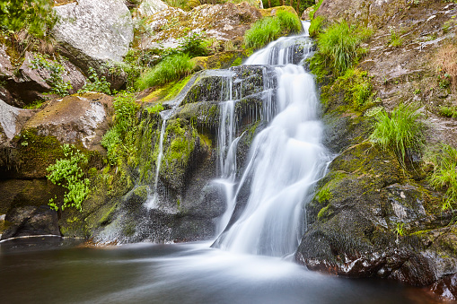 Atlantic green rainforest with cascade and creek. Galicia, Spain