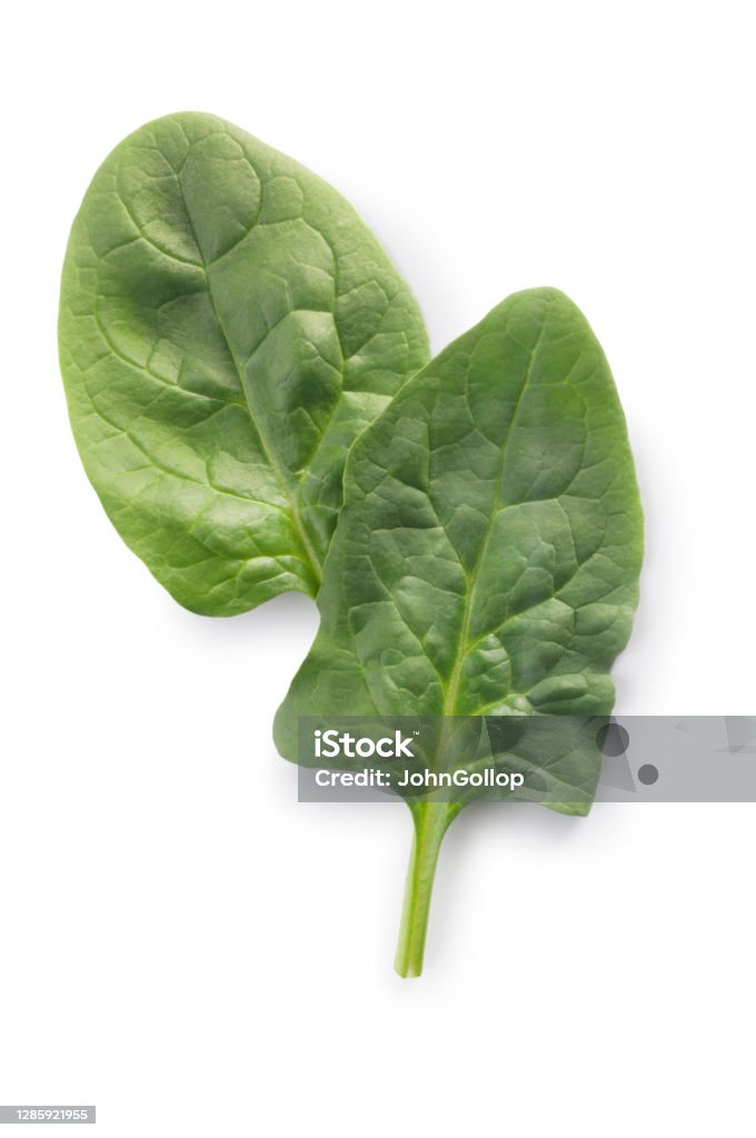 Spinach Leaves on white Studio shot of spinach leaves cut out against a white background. Spinach Stock Photo