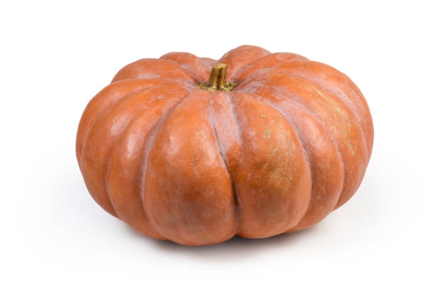 istock Large round ribbed pumpkin orange color on a white background 1285922884