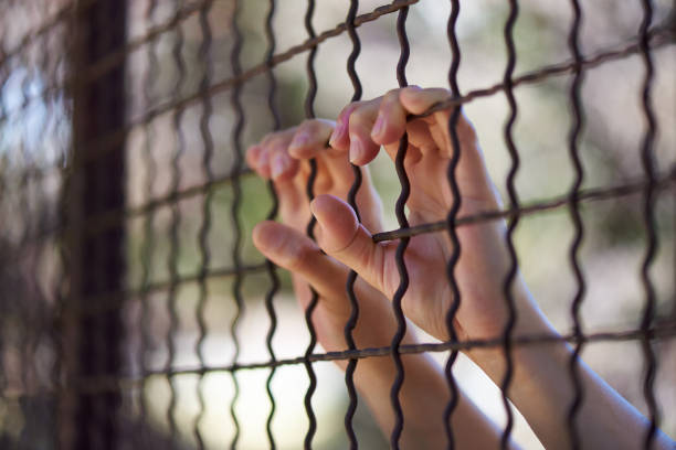 istock Female hands behind a metal barrier on a blurred background. 1285923045
