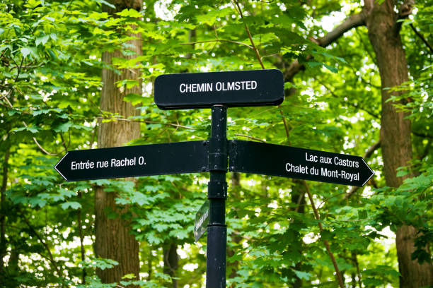 istock Directional sign post at mount royal park in Montreal, Canada against forest background 1285923381