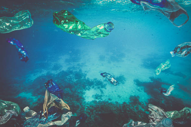 plastavfall, flaskpåsar som flyter under vattnet i havet. - water bottle cap bildbanksfoton och bilder