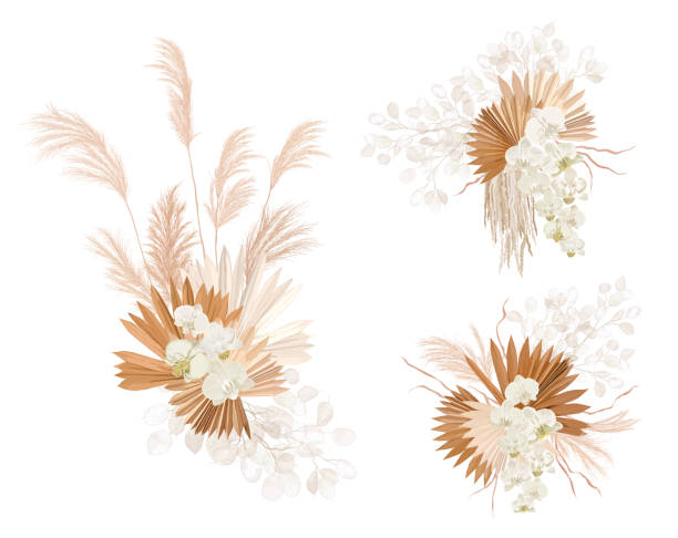 podstawowe rgb - cut flowers white tropical climate nature stock illustrations