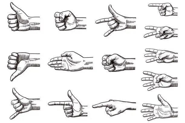 Vector illustration of Vector drawings of hands