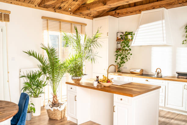 istock Designer white kitchen with a lot of home plants. 1285928880