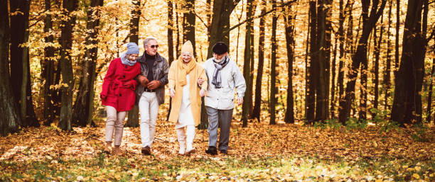 group of happy senior friends walking in autumn park. - autumn leaf falling panoramic imagens e fotografias de stock