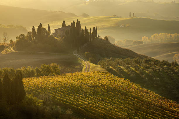 istock Sunrise in Italy 1285932815