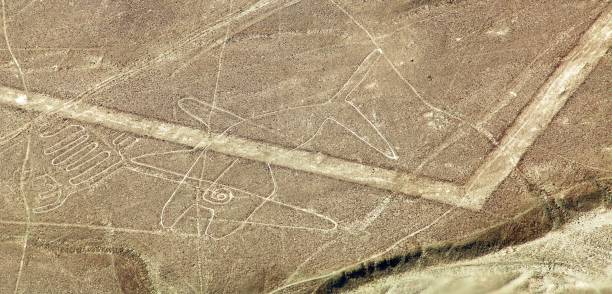 istock The whale, Nazca or Nasca mysterious lines and geoglyph 1285935433