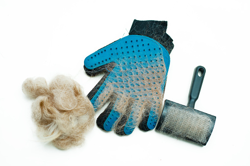 Blue rubber glove and animal brush for combing pets, cats, dogs. A clump of wool is the result of grooming. Tools for the grooming salon, or pet care at home. Flat lay, isolated. Photo