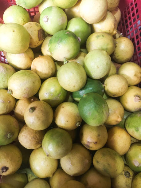 istock lime is ready to be sold in the vegetable shop 1285939046