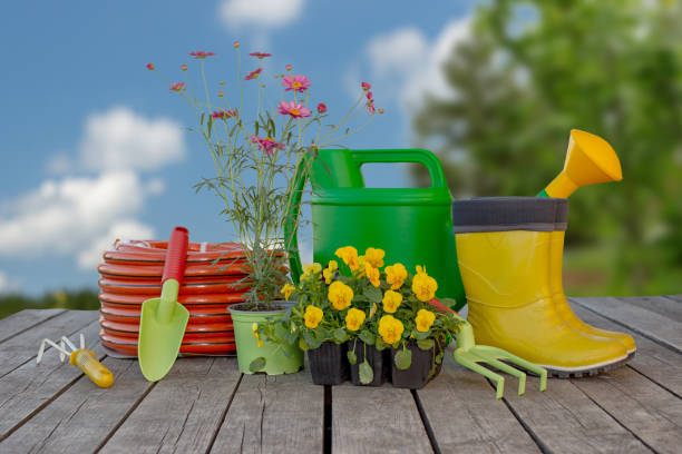 istock Gardening tools and flowers on wooden background 1285939453