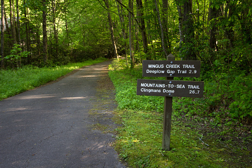 Mile marker along hiking trail in the Great Smoky Mountains National Park in Tennessee.