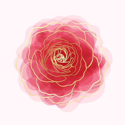 beautiful rose watercolor imitation hand-painted with golden outline isolated on white background.