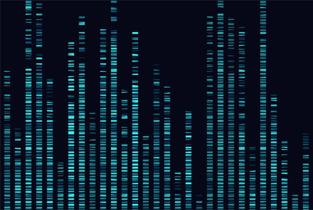 ilustraciones, imágenes clip art, dibujos animados e iconos de stock de gran visualización genómica de datos - test de adn