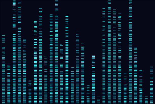 Big genomic data visualization Big genomic data visualization. DNA test, genom map. Graphic concept for your design chromosome illustrations stock illustrations