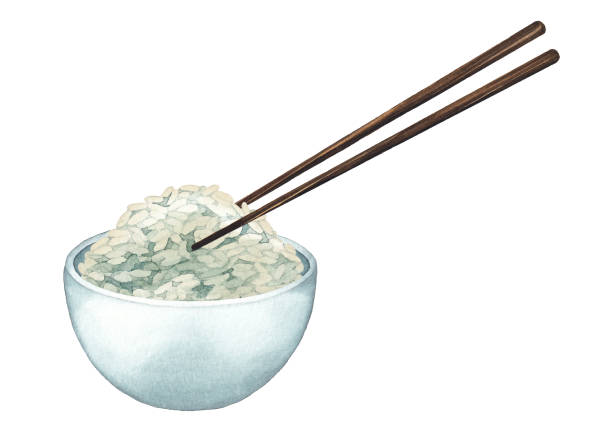Watercolor bowl of white rice with the wooden sticks Watercolor bowl of white rice with the wooden sticks. Hand painted illustration isolated on white background rice4 stock illustrations