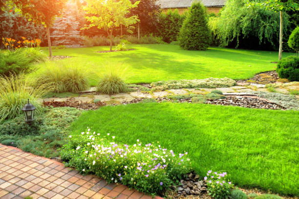 istock beautiful landscaping with beautiful plants 1285948795