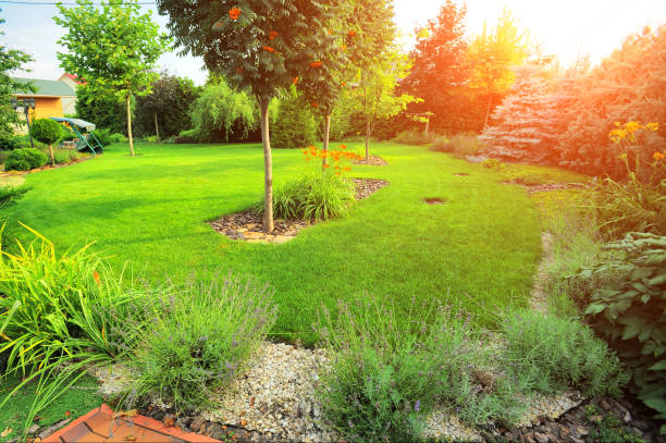 istock beautiful landscaping with beautiful plants 1285948899