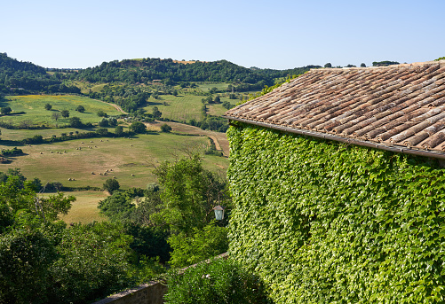 Building covered in ivy and agricultural landscape in Lazio