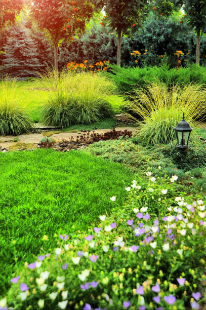 istock beautiful landscaping with beautiful plants 1285949047