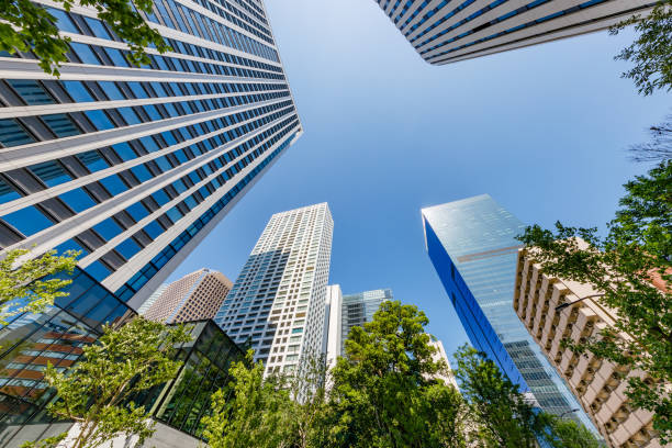 istock Fresh green trees and buildings in Tokyo 1285949180