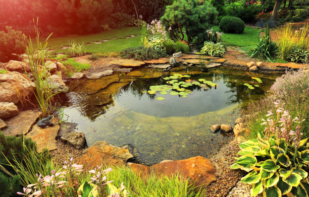 beautiful landscaping with beautiful plants beautiful landscaping with beautiful plants and flowers pond stock pictures, royalty-free photos & images