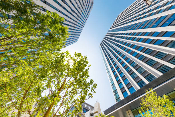 istock Fresh green trees and buildings in Tokyo 1285949197