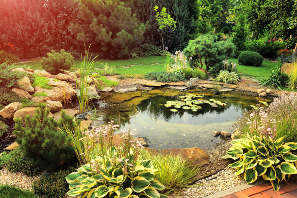 istock beautiful landscaping with beautiful plants 1285949220