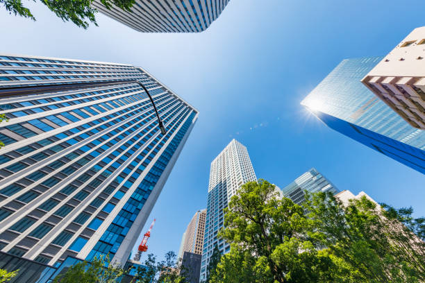 istock Fresh green trees and buildings in Tokyo 1285949309
