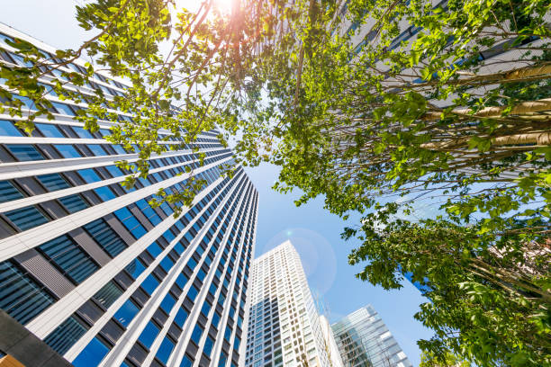 istock Fresh green trees and buildings in Tokyo 1285949387