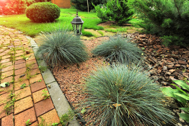 istock beautiful landscaping with beautiful plants 1285949518
