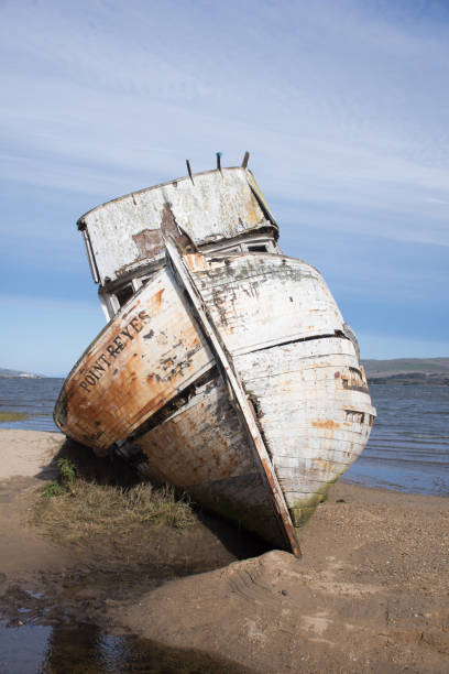 s.s. point reyes biegnie na mieliźnie - point reyes national seashore northern california beach california zdjęcia i obrazy z banku zdjęć