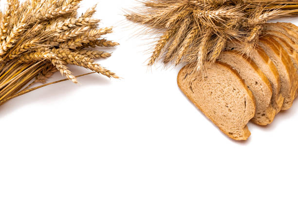 istock Rustic rye. Fresh loaf of rustic traditional bread with wheat grain ear or spike plant isolated on white background. Bakery with crusty loaves and crumbs. Design element for bakery product label. 1285952862