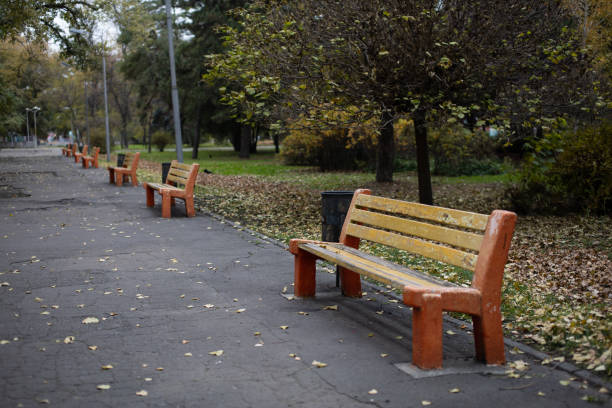 istock benches in the autumn Park 1285953181
