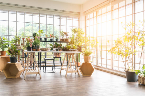 Garden with wooden interior in the house Little garden inside a small room, very relaxed looking cozy place in morning time with sunlight floral crown photos stock pictures, royalty-free photos & images