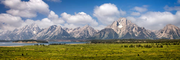 park narodowy grand teton, panorama pasma górskiego, wyoming, usa. panoramiczny baner internetowy. - 3503 zdjęcia i obrazy z banku zdjęć