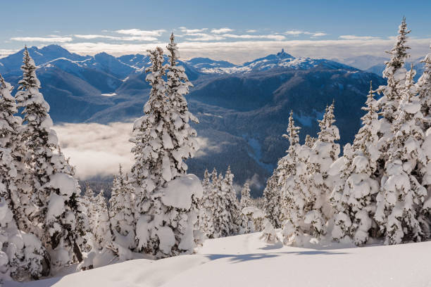 istock Winter scenery in Whistler, Canada 1285958436