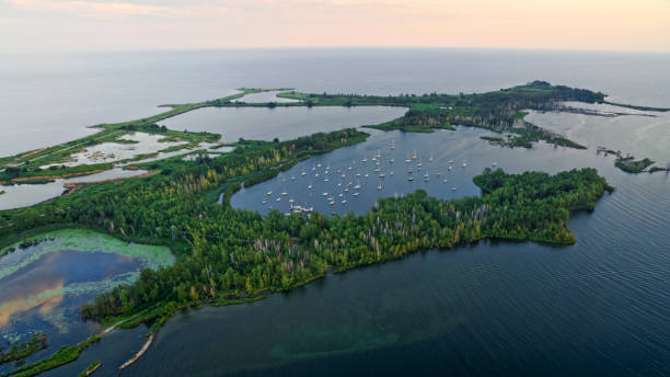View of Tommy Thompson Park