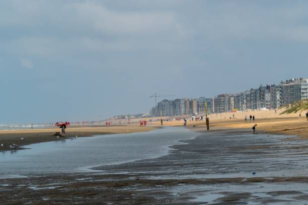 istock Coast of De Panne Belgium 1285961397