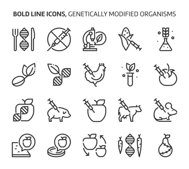 ilustrações, clipart, desenhos animados e ícones de organismos geneticamente modificados, ícones de linha ousados. - genetic modification genetic mutation genetic research vegetable