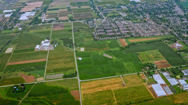 istock View of agriculture field 1285961883