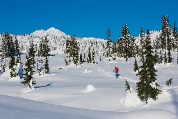 istock Man ski touring in the back country 1285962342
