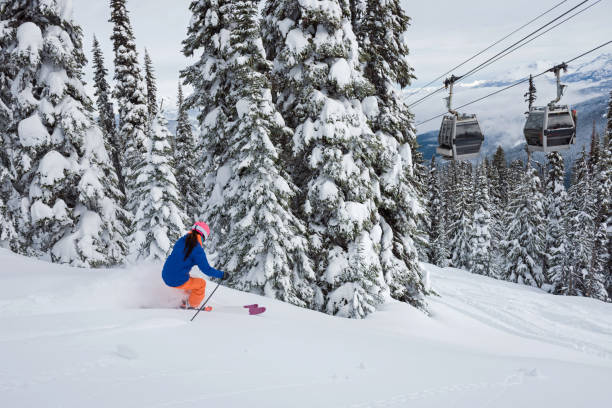 Female skiing fresh powder in the mountains. Winter ski vacation escaping in the mountains. Skiing at Whistler Mountain.