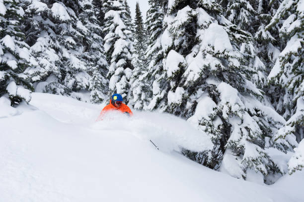 istock The pleasure of skiing fresh powder 1285962404