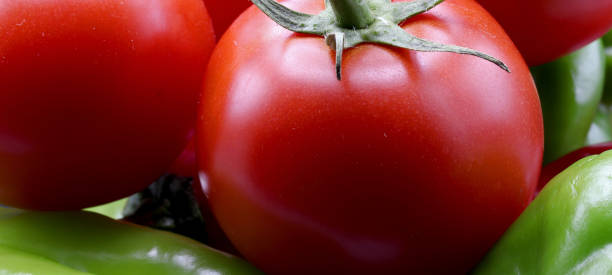 istock organic fresh tomato and peppers 1285962600