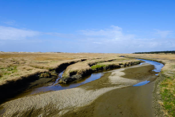 istock Tideway in Salt Marshes North Sea 1285963314