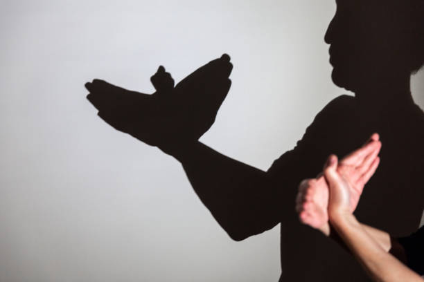 istock play shadow projected against a white background. pigeon 1285967526