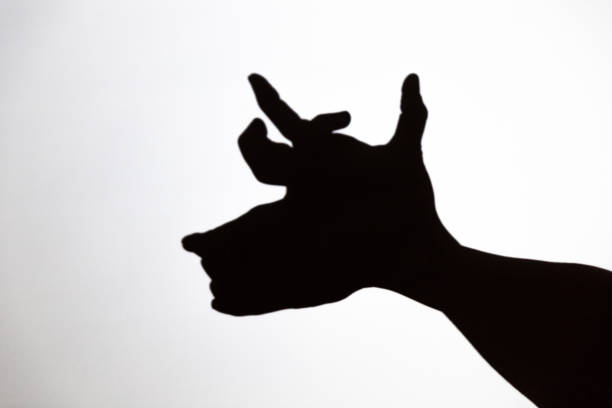 play shadow projected against a white background, rudolph reindeer