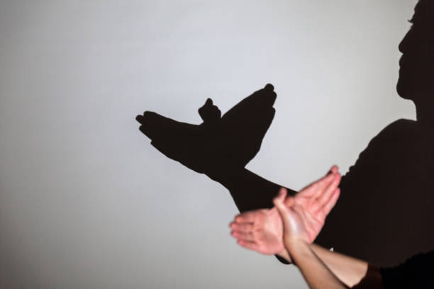 istock play shadow projected against a white background. pigeon 1285967574