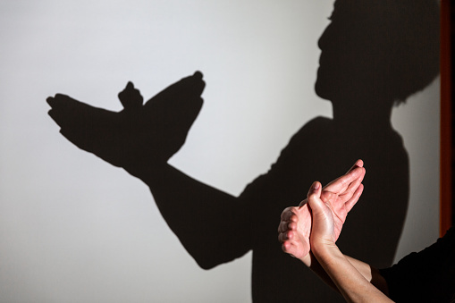 play shadow projected on a white screen. the person's hands shape a pigeon